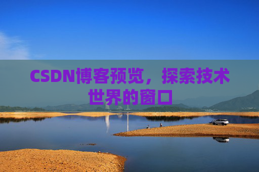 CSDN博客预览,探索技术世界的窗口